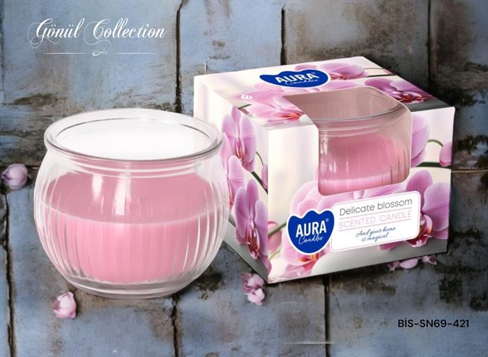 BARDAK MUM DELİCATE BLOSSOM K:6 resmi